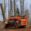 Enhance Animal Breeding with Professional Land Clearing in Virginia Beach