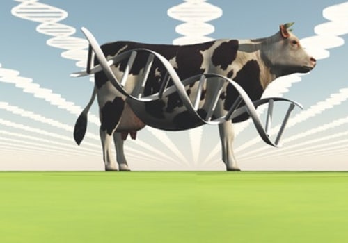 Understanding Performance Testing in Animal Breeding: A Path to Better Genetics