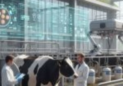 Exploring the Differences in Animal Breeding Practices: Small-Scale vs. Large-Scale Operations