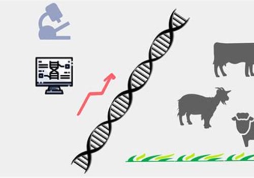 Understanding Genetic Management in Animal Breeding Programs