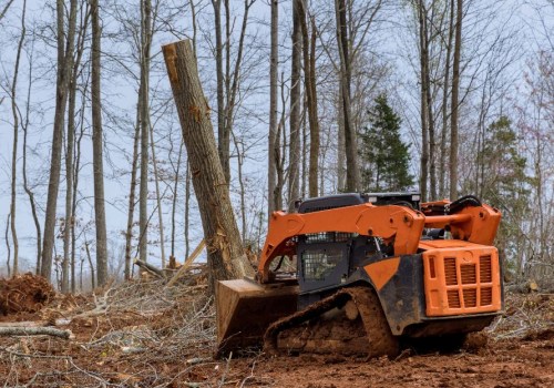 Enhance Animal Breeding with Professional Land Clearing in Virginia Beach