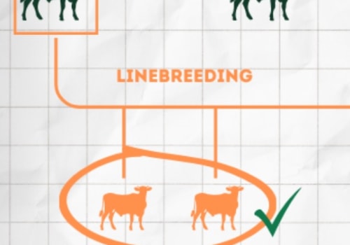 Understanding Inbreeding in Animal Breeding: Benefits and Risks